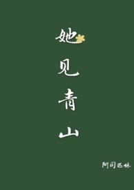 她见青山小说txt